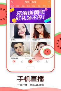 吃瓜直播怎么下,如何轻松下载观看热门直播内容