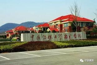 南广学院吃瓜,揭秘校园热点背后的故事