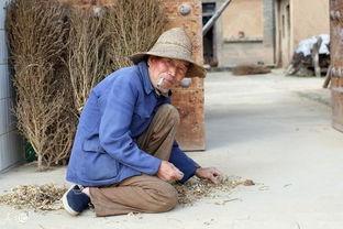 老太不给老头吃瓜,老太吝啬瓜果，引发家庭温馨趣事