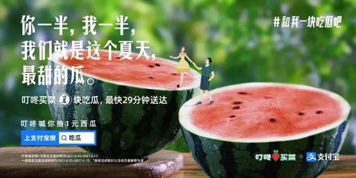 吃瓜男文案,揭秘网络热词背后的趣味与现象