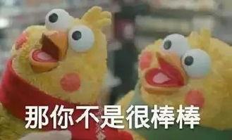 带你吃瓜说的鸡,带你品尝“带你吃瓜说的鸡”的独特风味