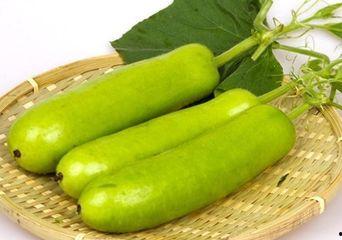 苦味瓜怎么吃最好,解锁美味新体验