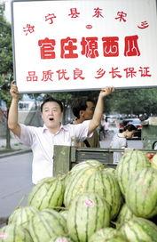 砀山吃瓜事件官庄,揭秘背后真相与网络舆论风暴