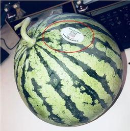 无限网红吃瓜,揭秘娱乐圈幕后真相