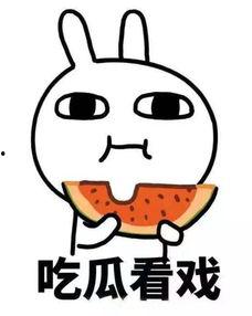 慢吞吞吃瓜,细嚼人生百态